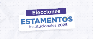 Elecciones Estamentos Institucionales 2025