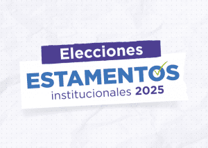 Elecciones Estamentos Institucionales 2025