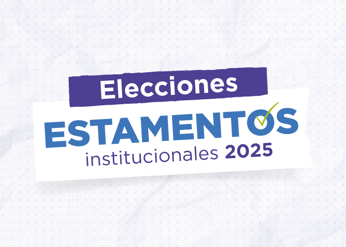 Elecciones Estamentos Institucionales 2025